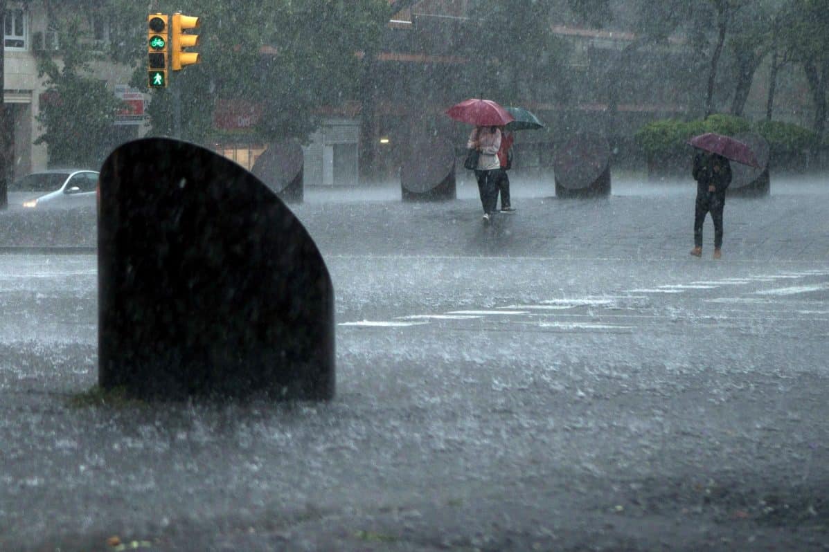 Sécheresse en Catalogne : la pluie soulage mais reste insuffisante