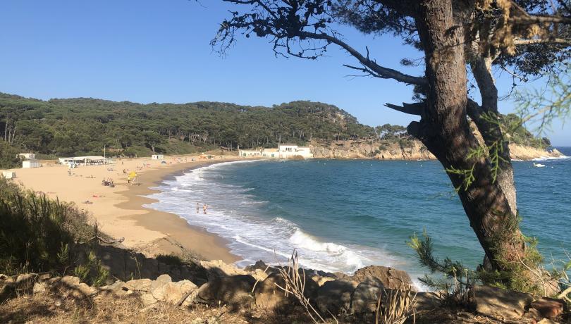 En Catalogne, pourquoi certaines plages sont de sable fin et d’autres de galets ?